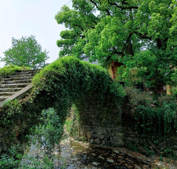 来打卡《爱莲说》吧,逛杭州一个周姓村落,免费还文气斐然!