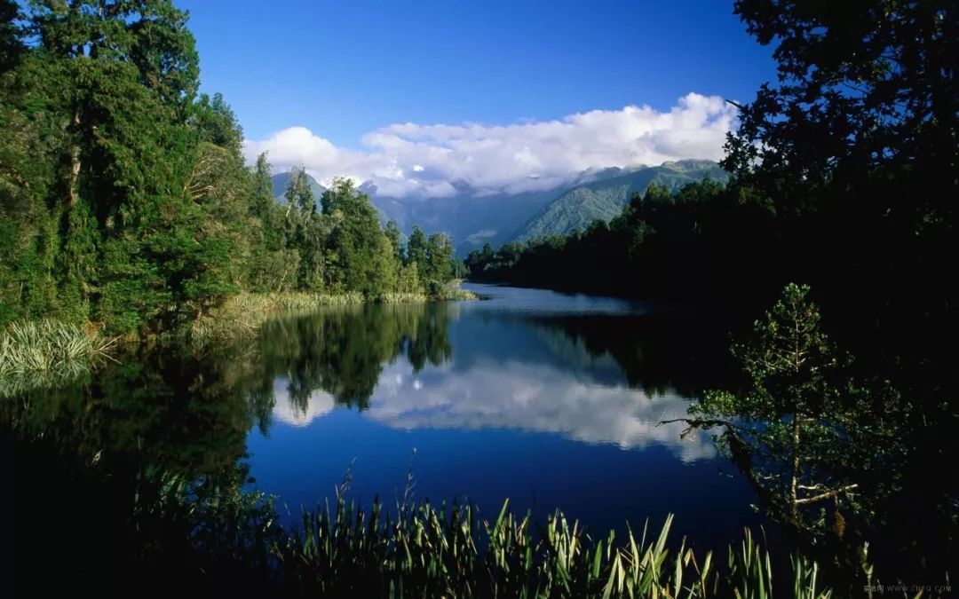 《懵懂少年》免费版「李兵沈思」(完结)_小说