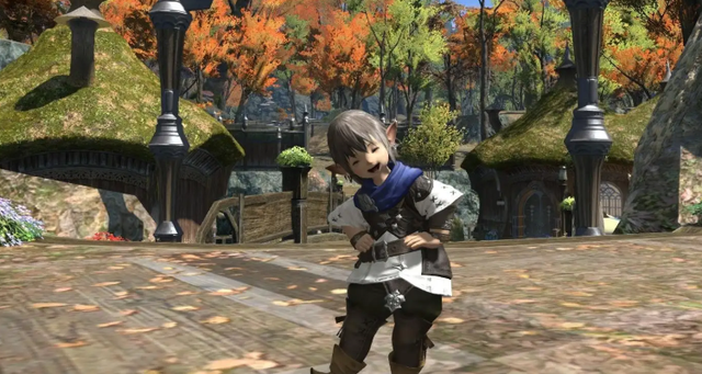 ff14波导是什么意思