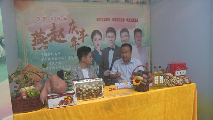 丰收节上晒丰收!中国·新乐第三个农民丰收节来啦!