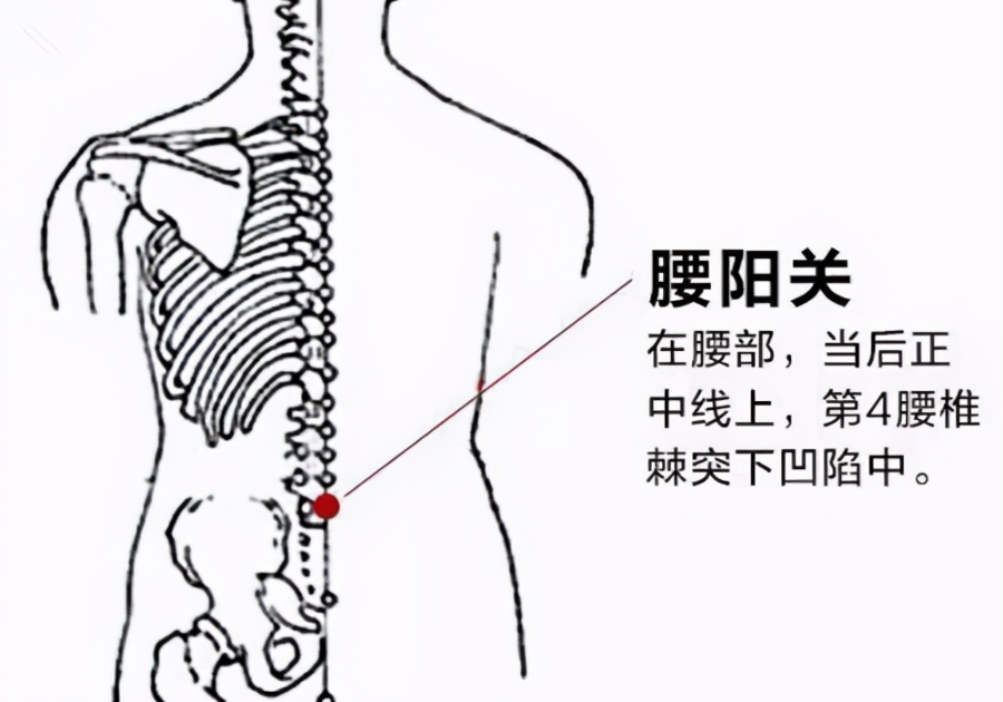 艾灸减肥取穴 1,腰阳关 定位:第四腰椎棘突下.