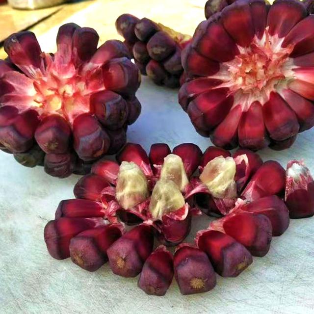 家有空地养它真省心,不挑土壤,长势喜人,好吃作用多,一起看看