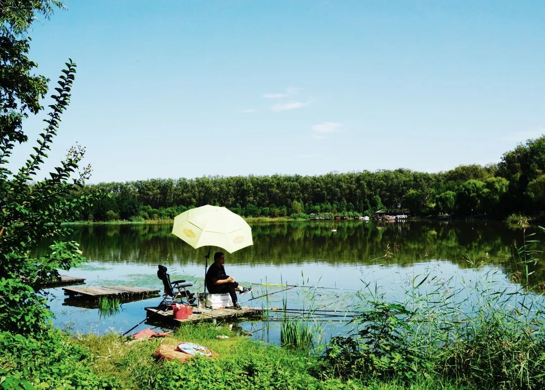 踏青遊船好去處,漢石橋溼地公園開園啦~