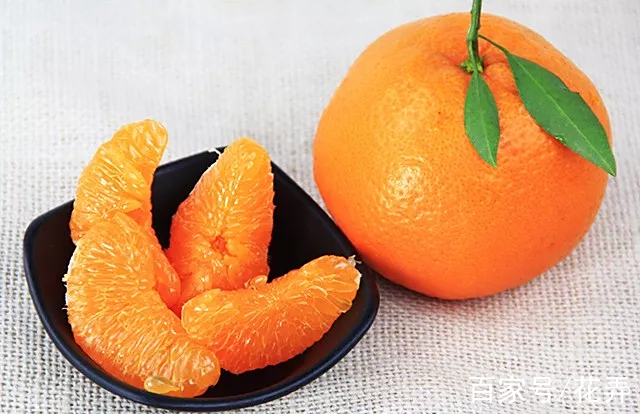 吃耙耙柑的功效与禁忌(耙耙柑吃了会胖吗)