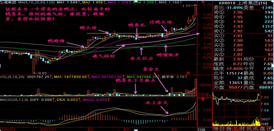 一旦识别"老鸭头"形态,紧紧抱住,主升浪要准备起飞了