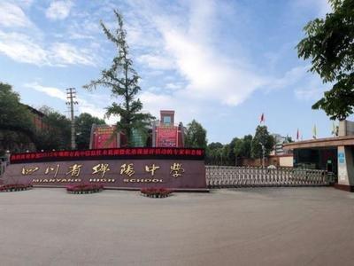 绵阳中学排行榜单揭晓:谁家玉笛暗飞声,排名榜单尽可知