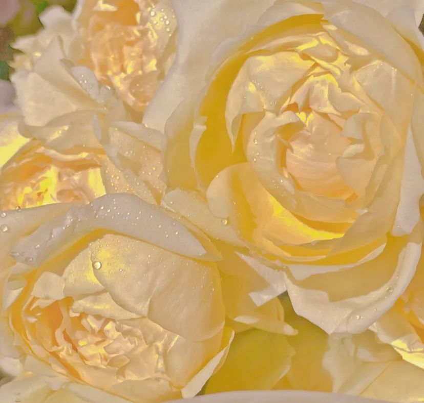 治愈朋友圈封面图