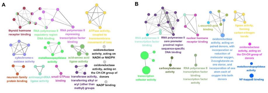 百趣代谢组学文献分享:三组学整合分析在中医药研究中的应用