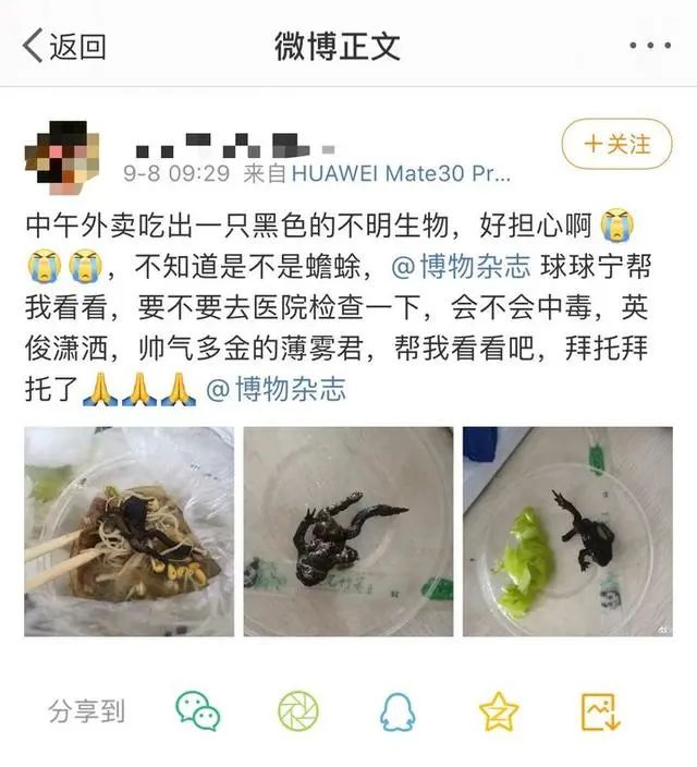 热点|看吐!姑娘点份外卖吃到一半发现癞蛤蟆,商家回应更让人窒息