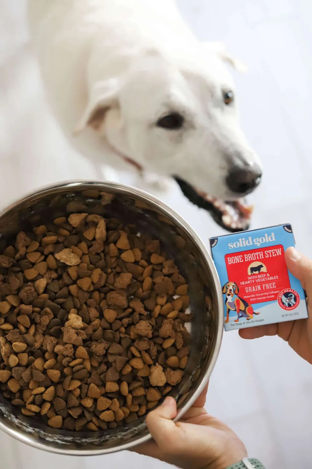 最新发布:健合旗下新星品牌solid gold 素力高重装上线!