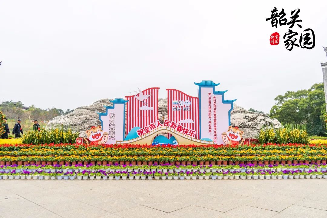 韶城各处摆花迎新春你家附近也摆上花了吗