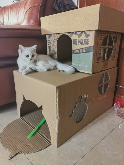 自制纸箱猫窝别墅图纸图片