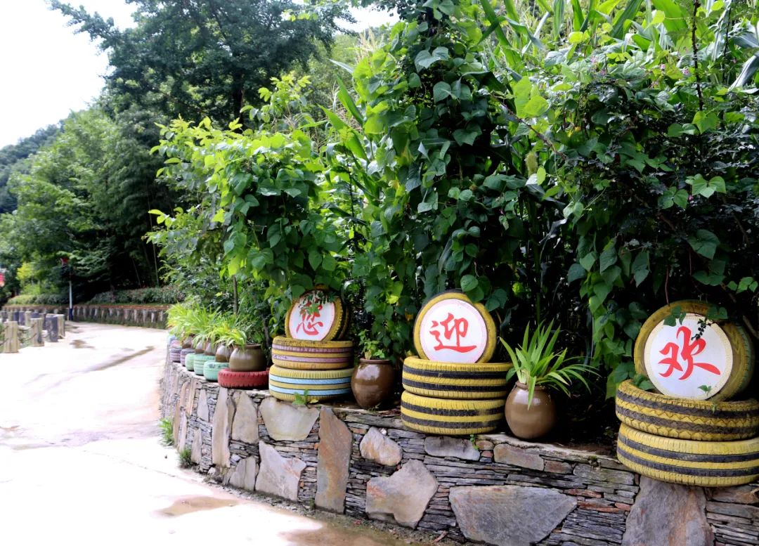 水缸- 热门商品专区