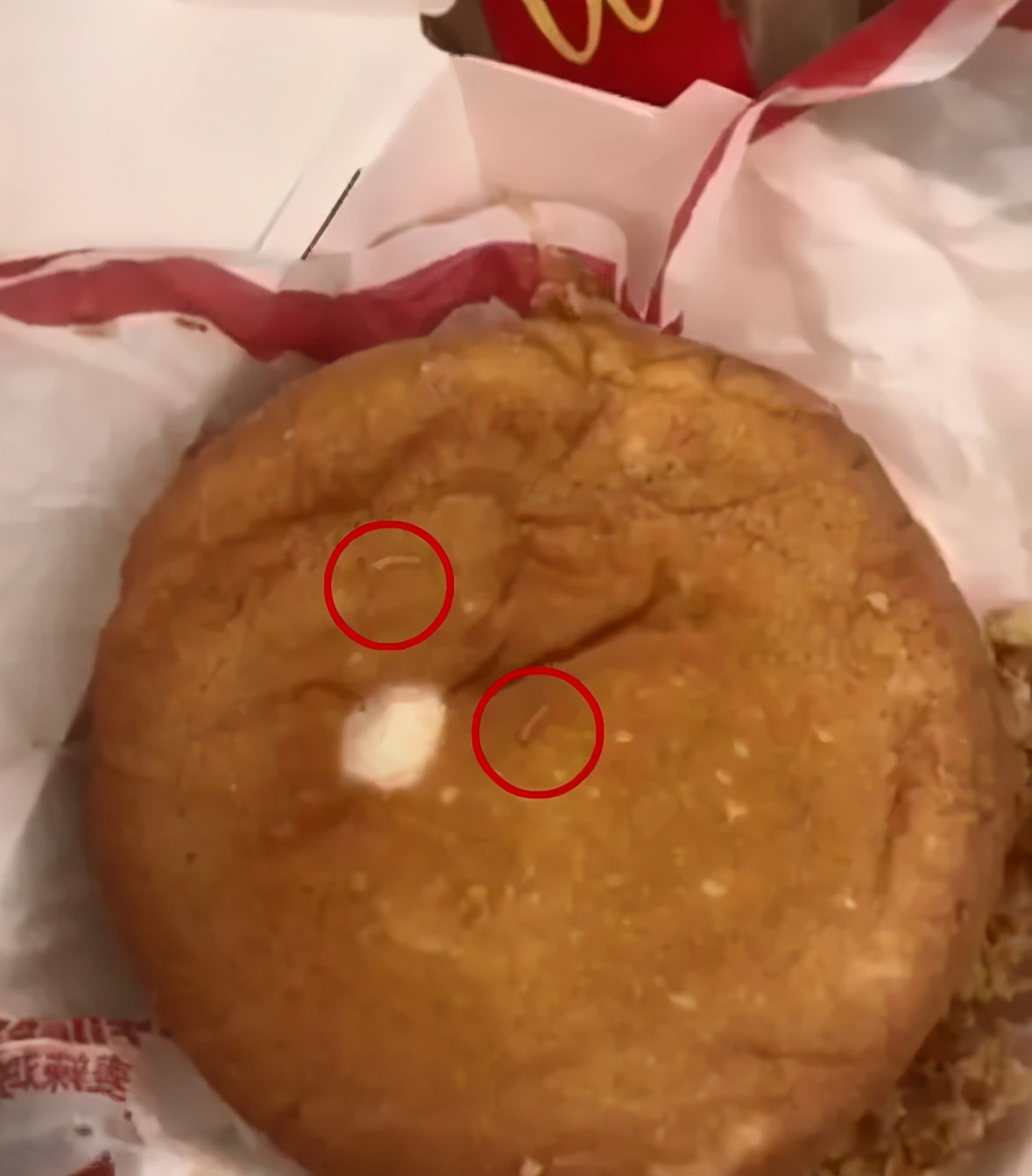 汉堡里吃出大量活虫?麦当劳回应