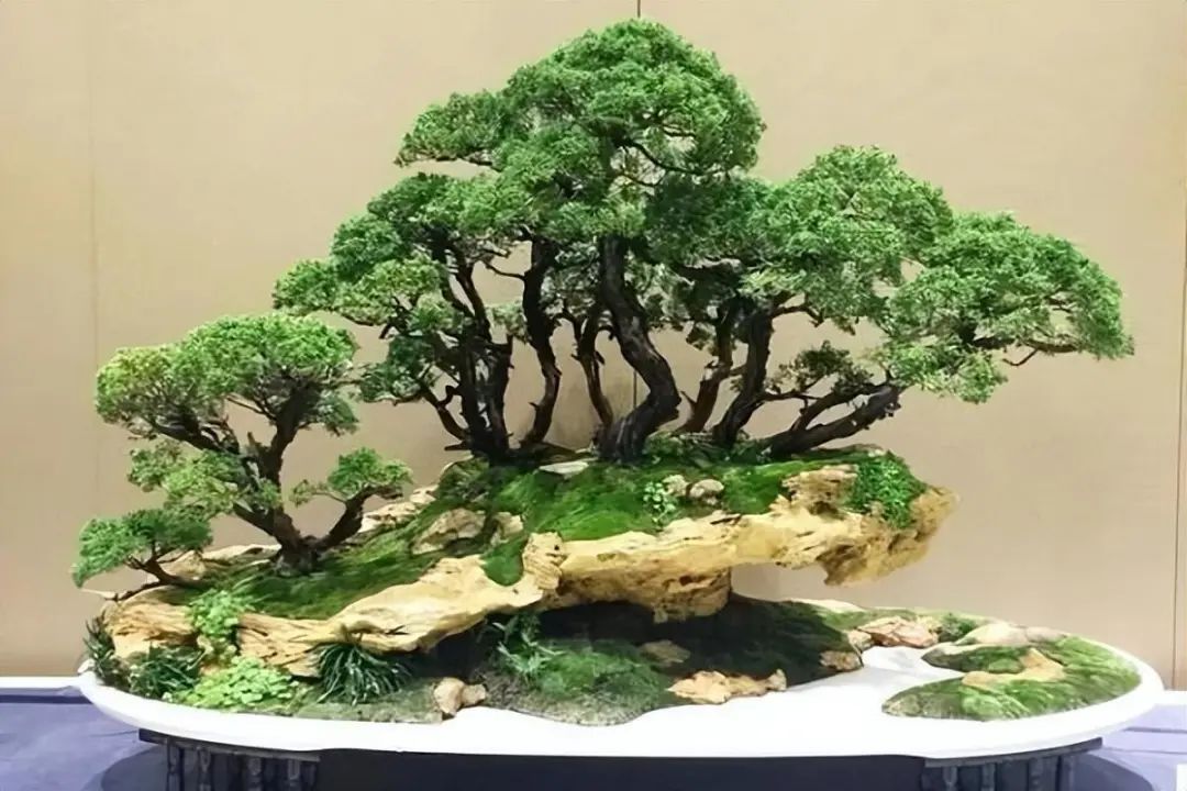 盆景造型十二式欣赏(值得收藏)