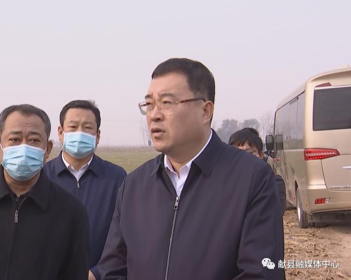 副市长薛青松到献县调研冬小麦播种工作