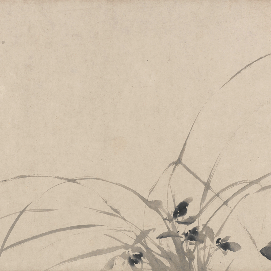 访古丨徐渭 · 十二墨花图