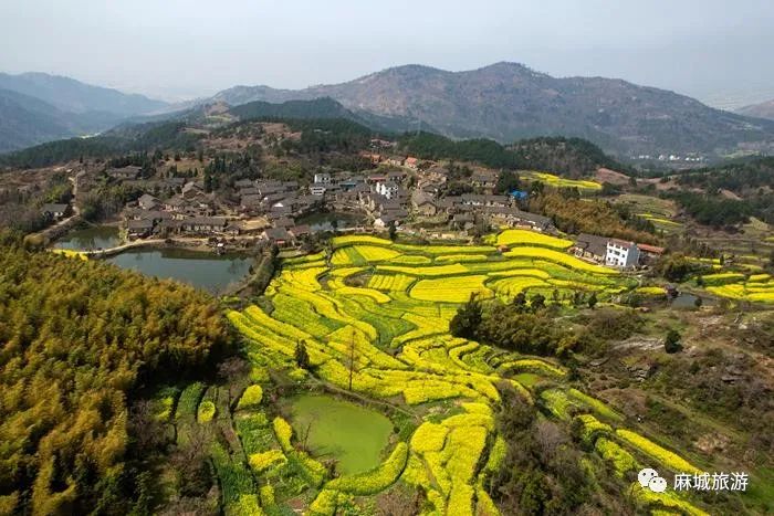 麻城东湾村图片