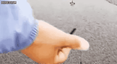 推荐河北某路段惊现铁蒺藜！警方通报来了