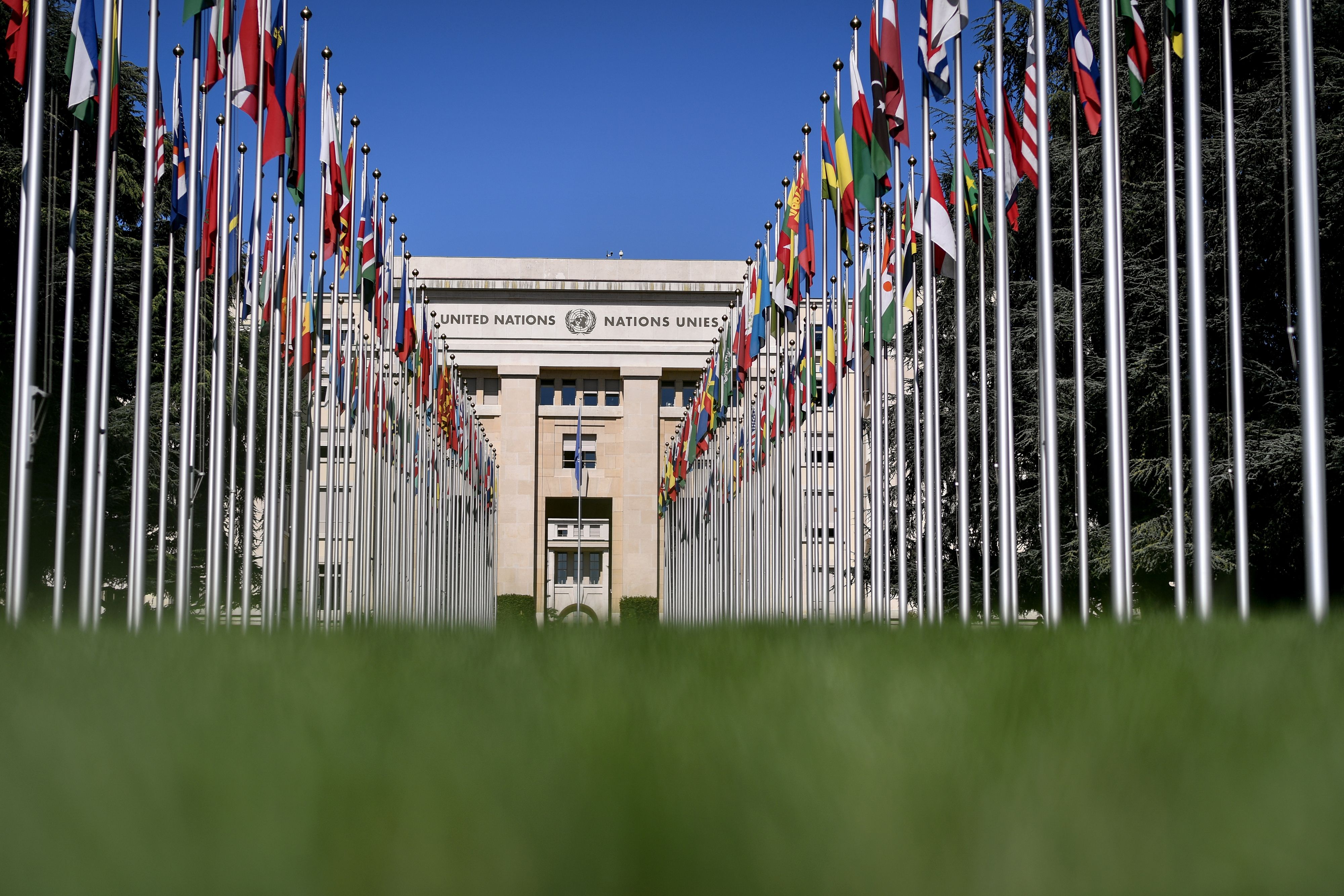 联合国人权机构通过决议强烈谴责美国非洲裔男子遭暴力执法死亡事件(5