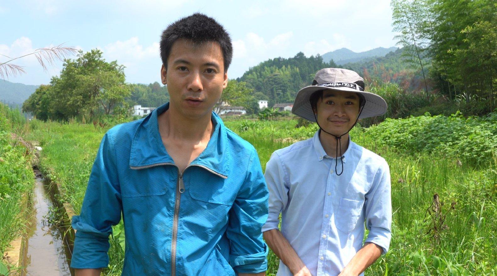 农村,年轻人愿意回来了