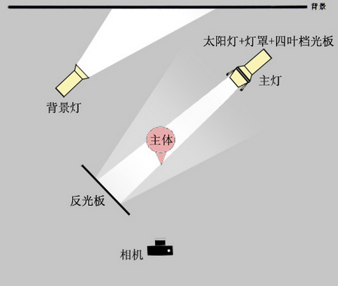 蝴蝶光布光示意图图片