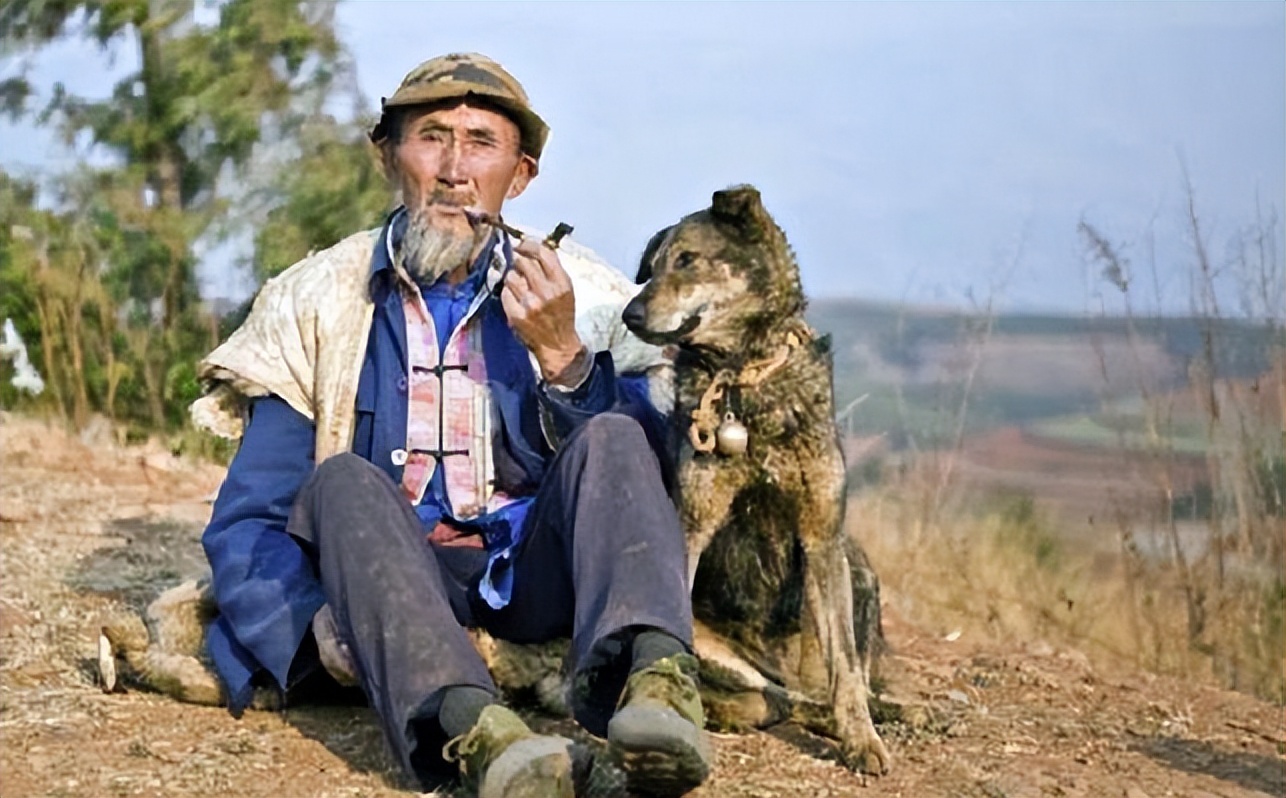 电影老人与狗演员表图片