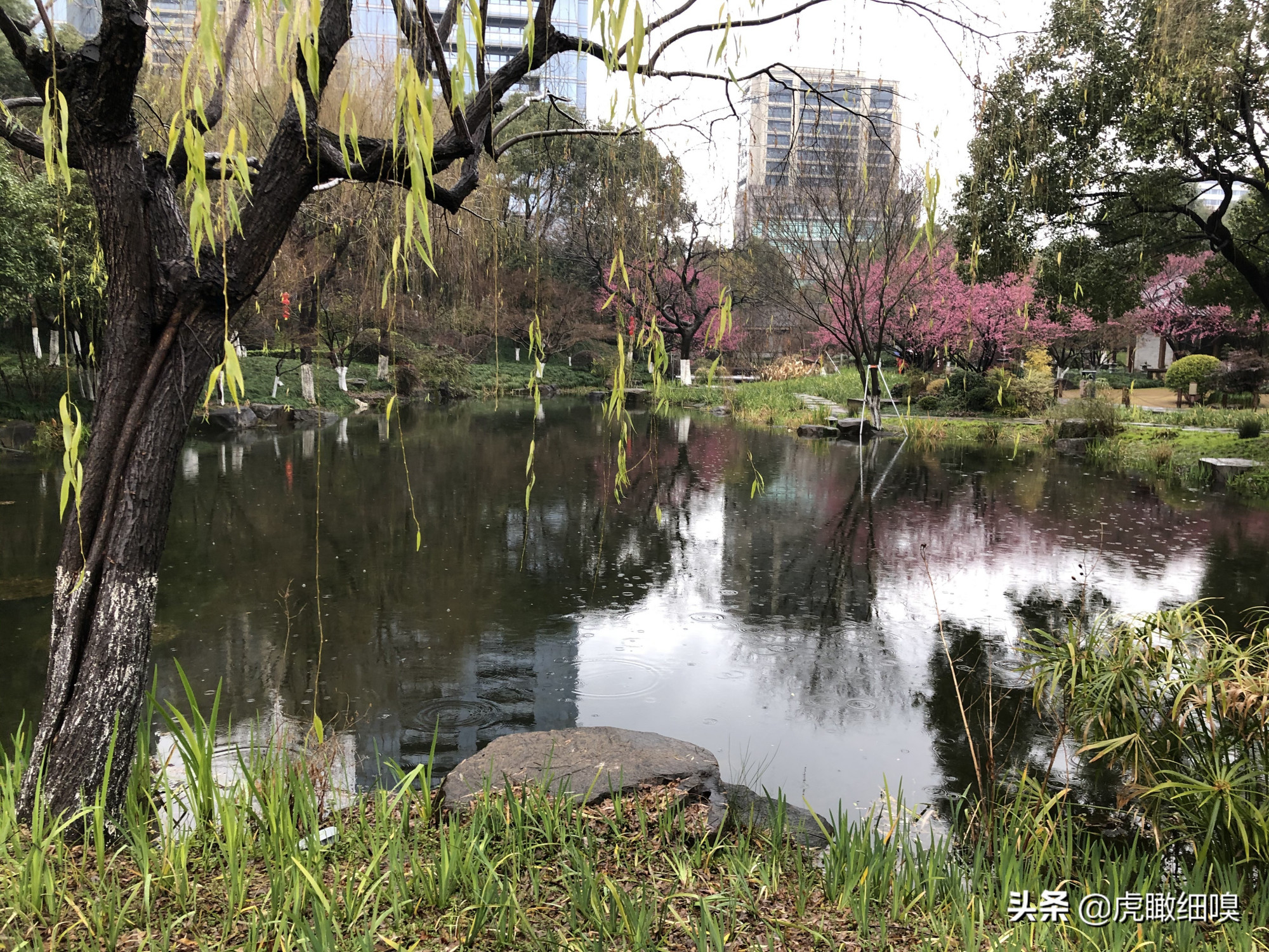 临平水景公园:好似散落于闹市中的一串珍珠的公园