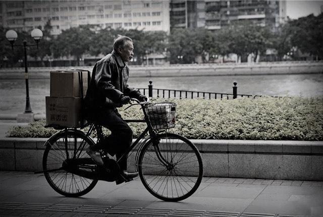 木工老王的春天图片