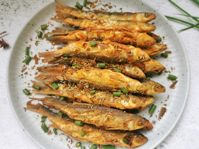 白条鱼最大可以长到多大?