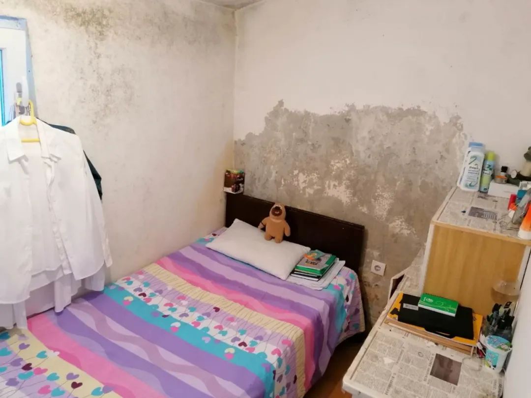 推荐东北大姐滞留塞尔维亚农场，被迫过上如“诗”的田园生活