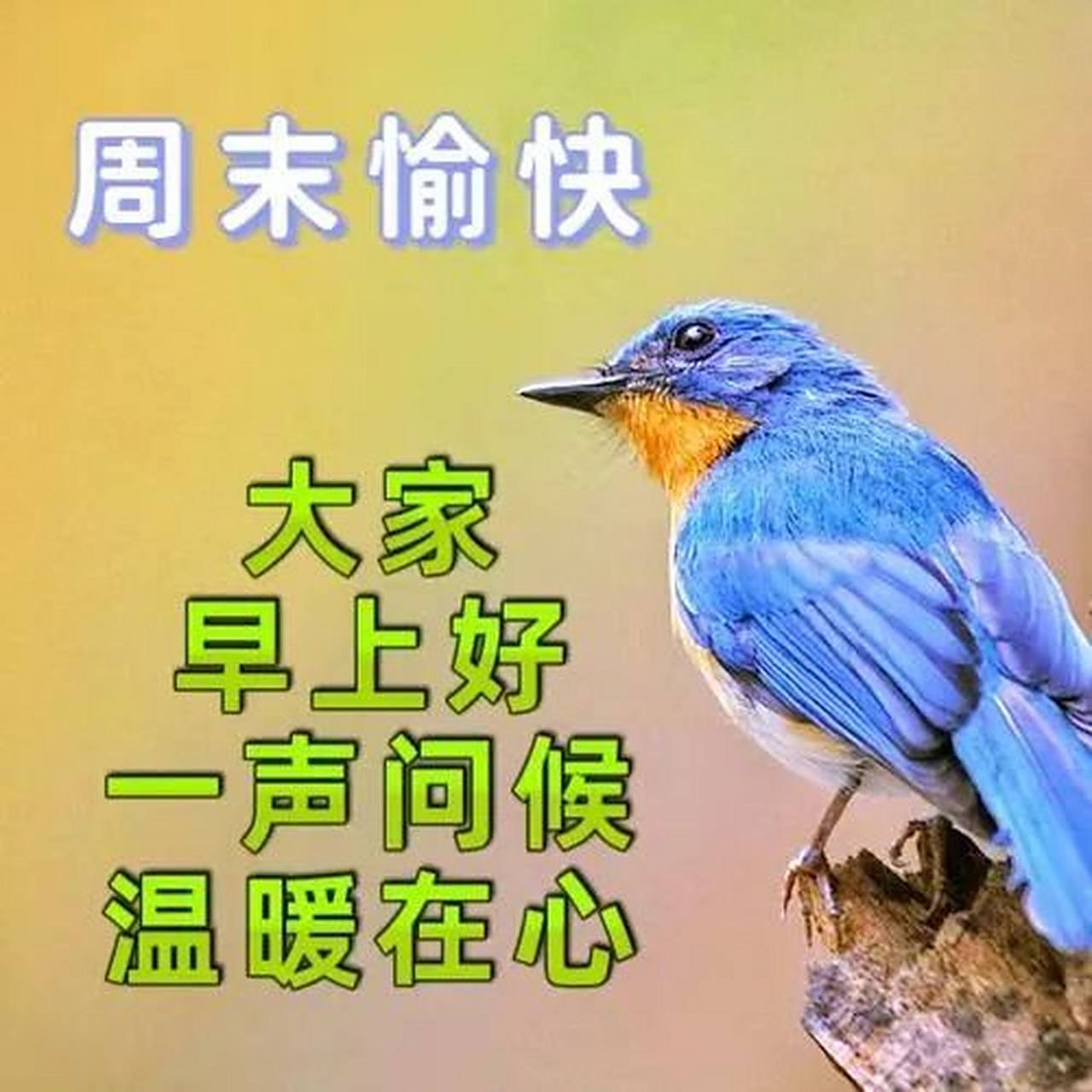 周日早安图片,周末早安问候语,早上好!