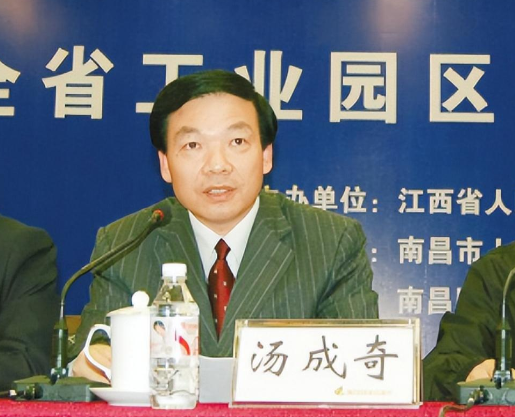 回顾:江西老虎汤成奇,敛财3901万,与40名女性有染,死缓转无期