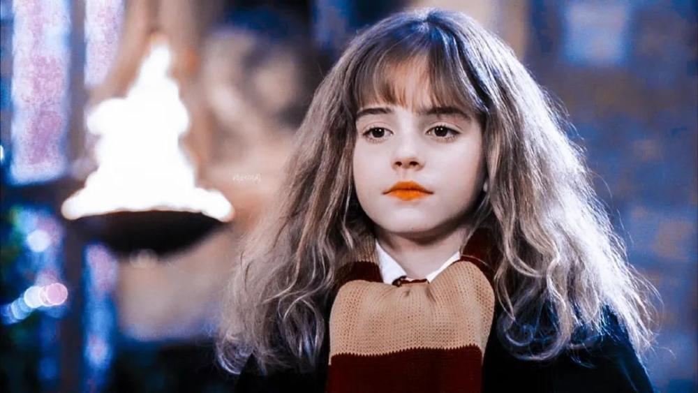 帕梅洛:有本事的男性欣赏《芭比》,《哈利波特》找到了发展契机