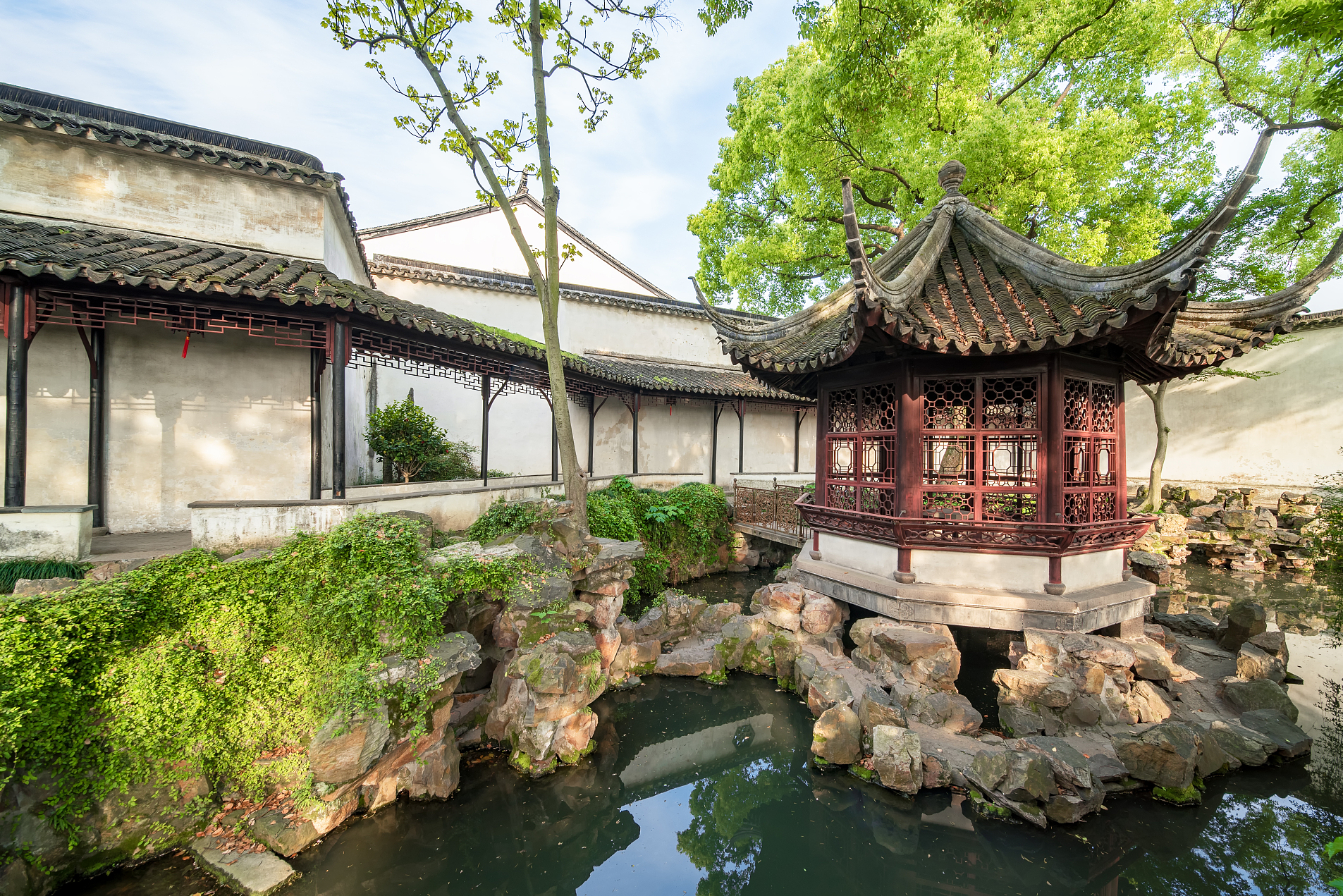 苏州古典园林:拙政园,留园和网师园!