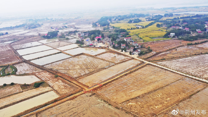 "高产田"铺就致富路,公安县孟家溪镇高标准农田探访