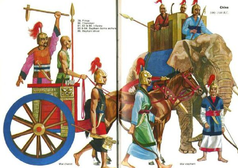 别看我拿着石矛,但我骑得的是战象!殷墟出土的商代象兵了解下