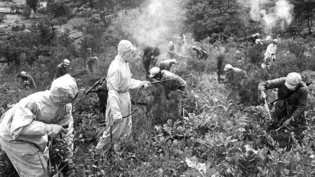 说历史:美军千里投毒,细菌战罪行铁证如山!