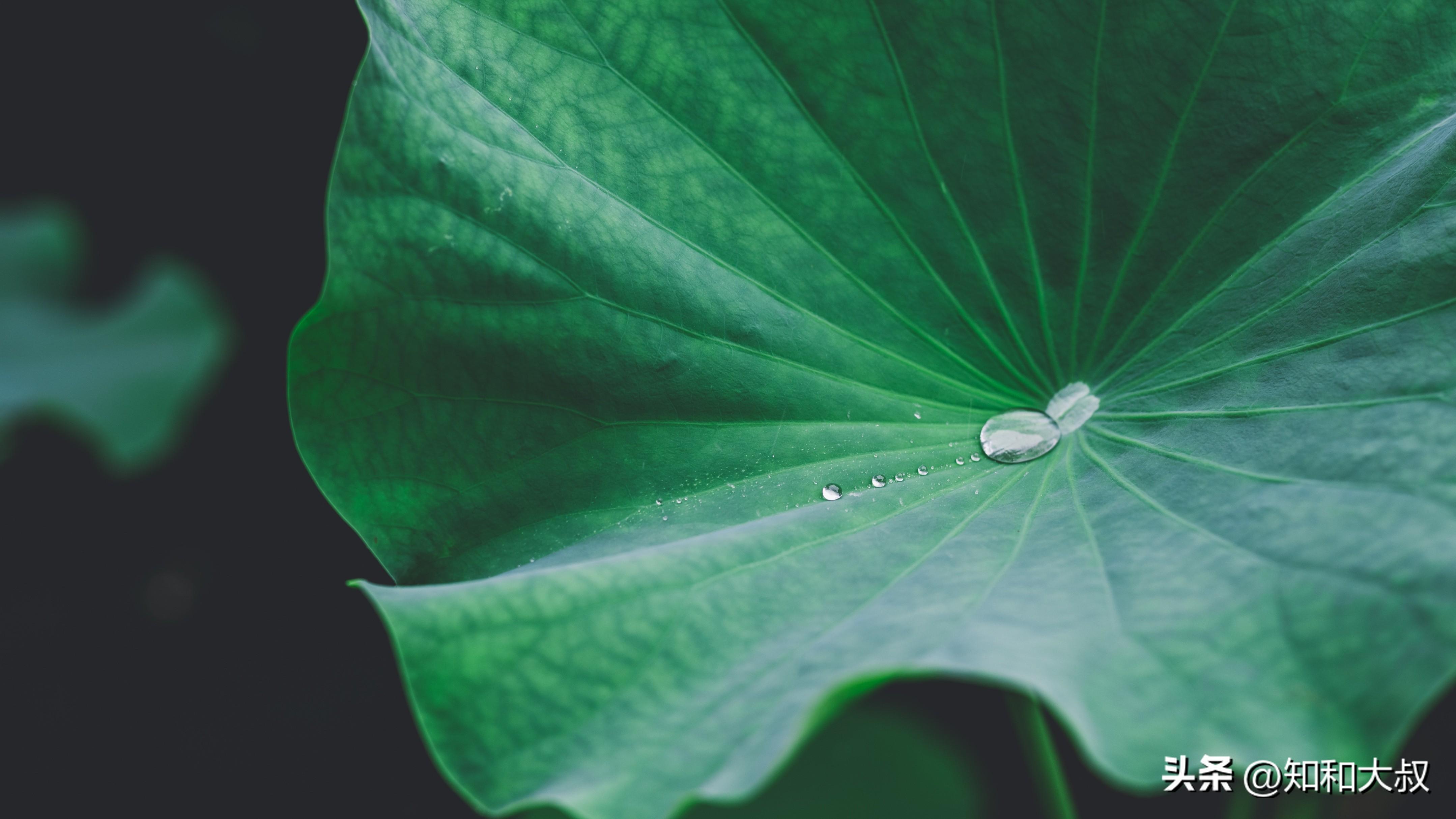 一个人是不是真的有钱,一眼就能看清楚