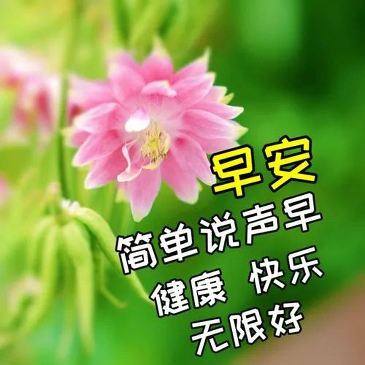 早上好的句子 早上好问候语 早上好的最佳图片 1. 早晨,迎接新的一天.