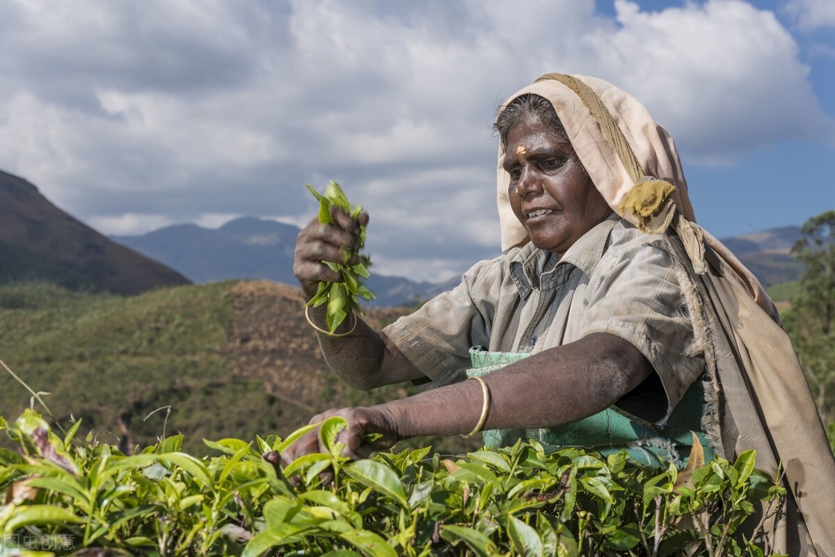 2亿元购买印度红茶?看懂后你会为这波操作鼓掌