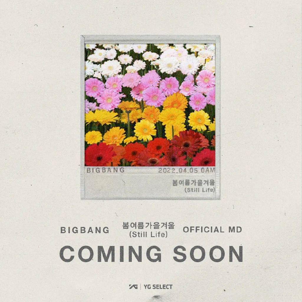 bigbang回归春秋冬夏周而复始总有花路漫漫