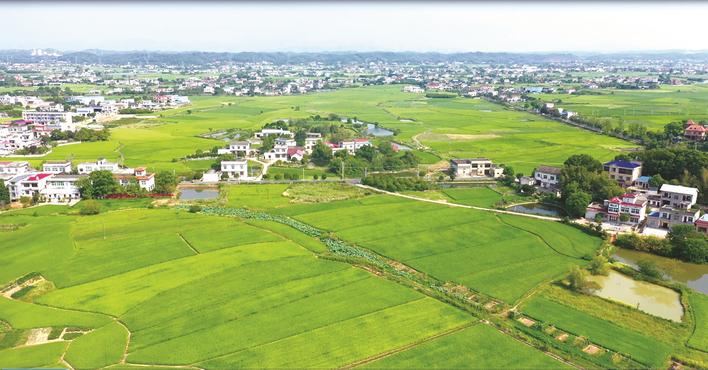 长沙县黄花镇回龙中学图片