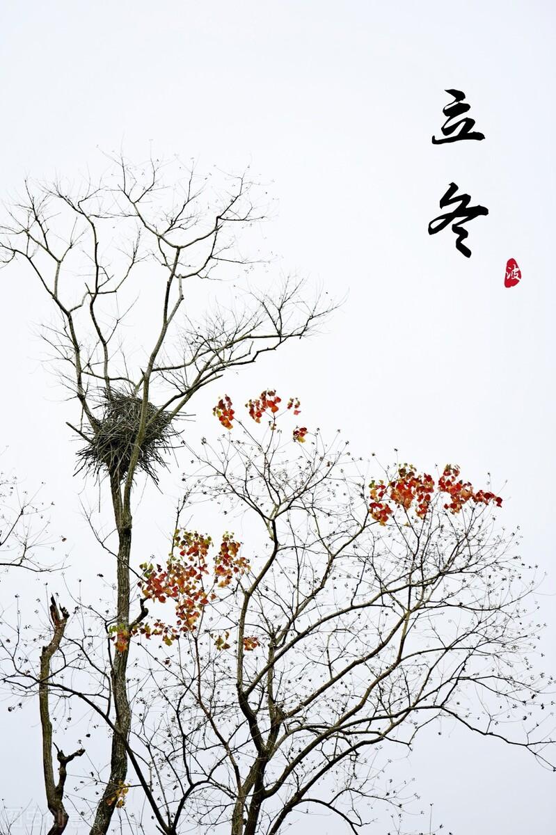 二十首最美的立冬诗词,未品秋浓冬已至,挥手别秋遇见冬