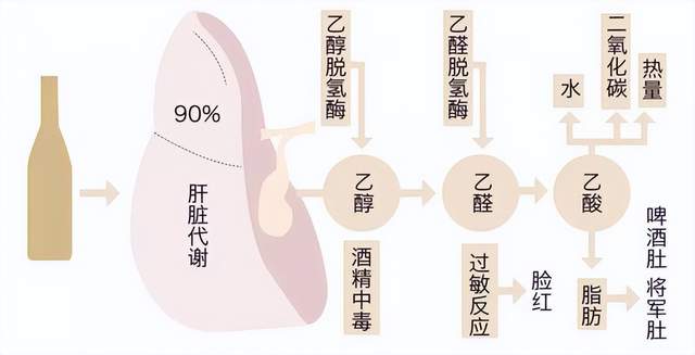 今天才知道,喝完酒半夜口渴,头疼欲裂,不是酒量差,而是酒太差