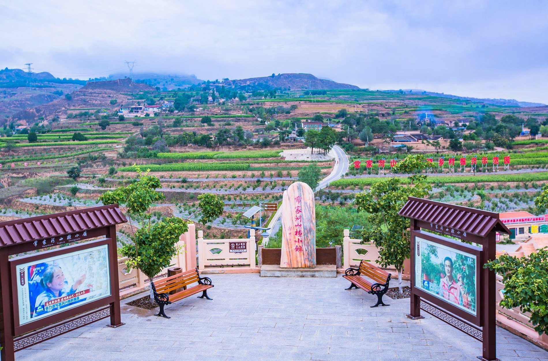 甘肃定西常家河山楂小镇,环境优美,设施齐全,是研学游的好去处