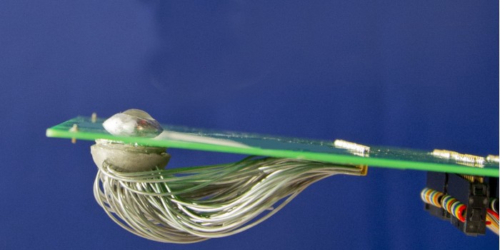 不得不说,电子眼给了盲人重新看到的希望,是眼科领域的重大突破.