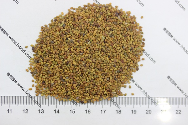 草木犀一亩地用多少斤种子?