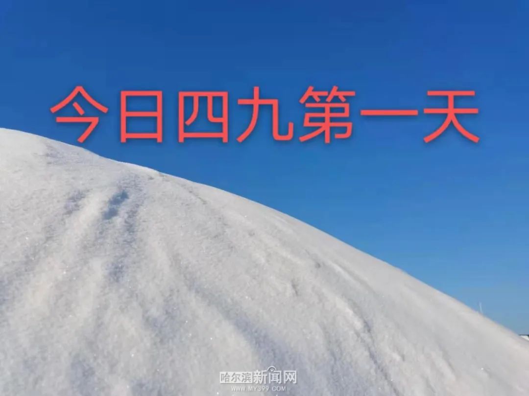 哈尔滨,四九天|早市冰火两重天