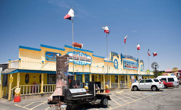 美一男子斩下蛇头,十分钟后险些被蛇头咬死,蛇头为何能僵而不死